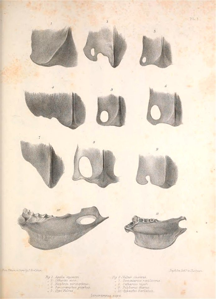 n156_w1150