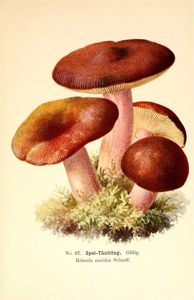 n120_w1150