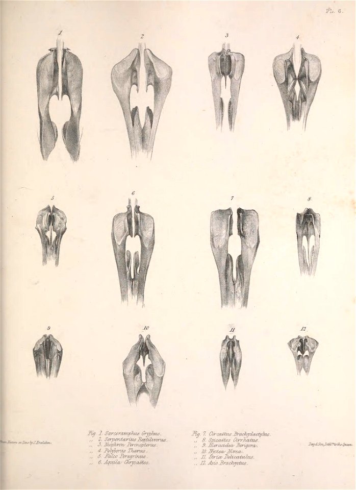 n166_w1150
