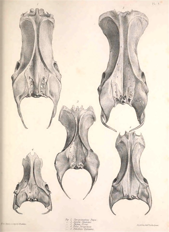 n164_w1150