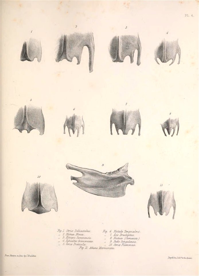 n162_w1150