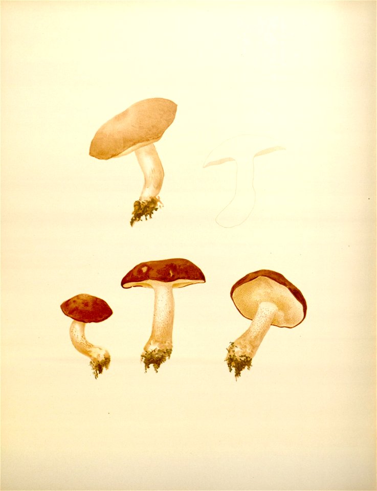 n164_w1150