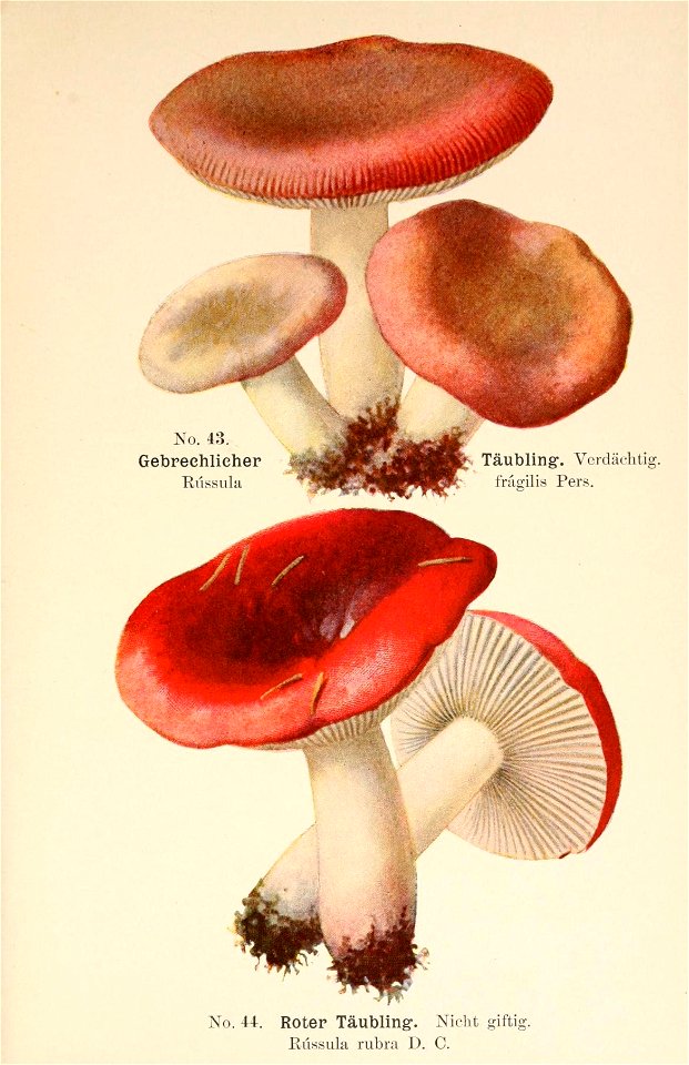 n122_w1150