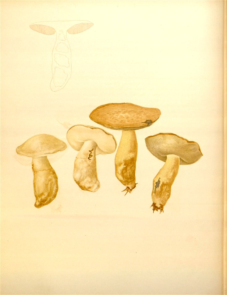 n191_w1150