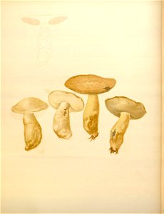 n191_w1150