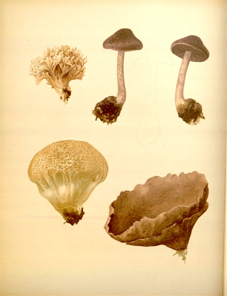 n129_w1150