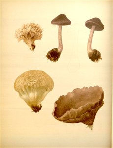 n129_w1150