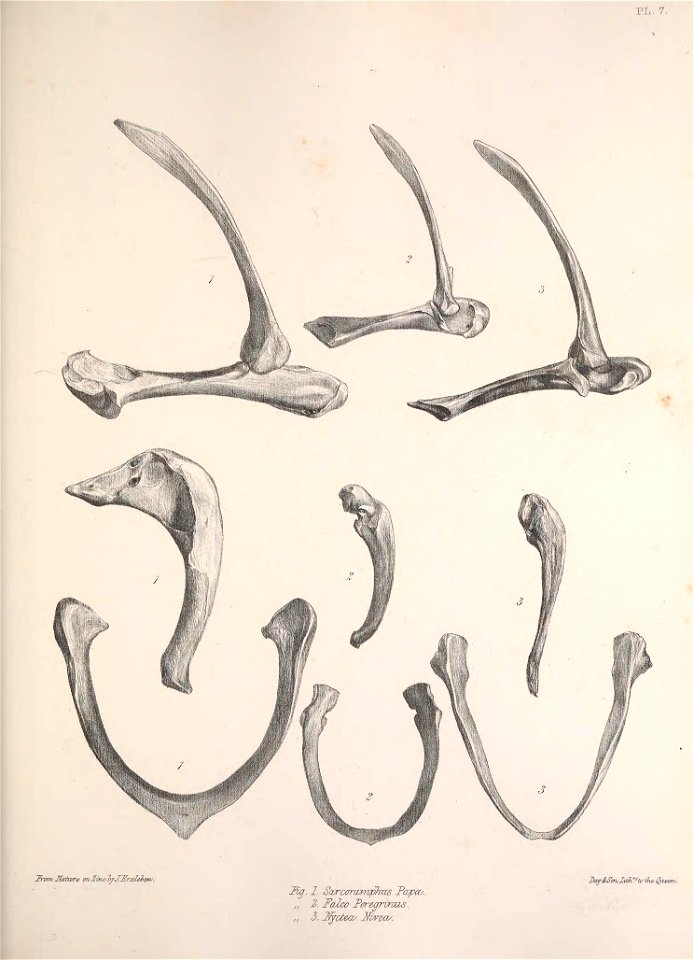 n168_w1150