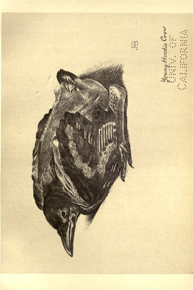 n192_w1150