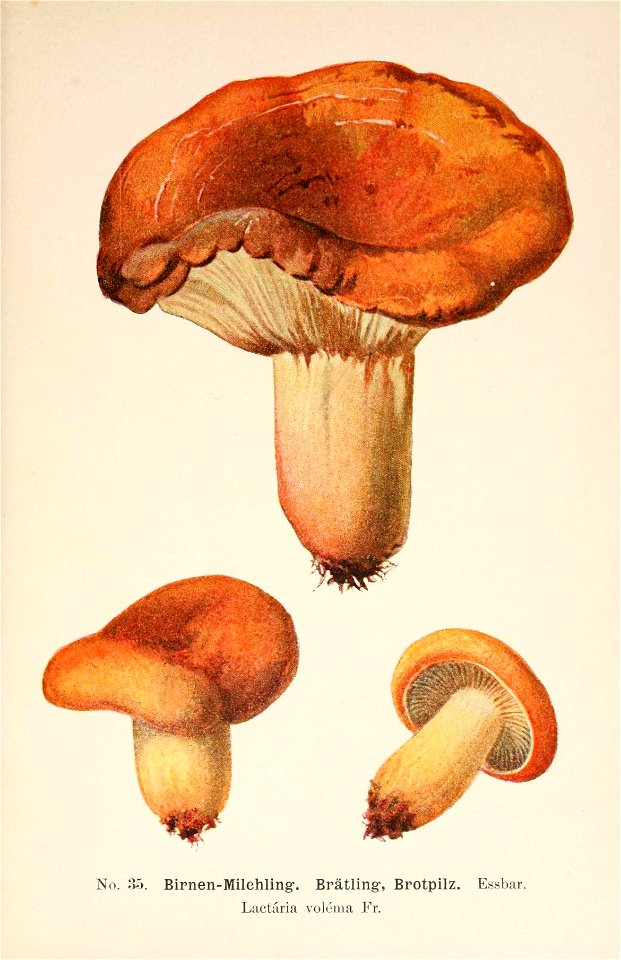n106_w1150