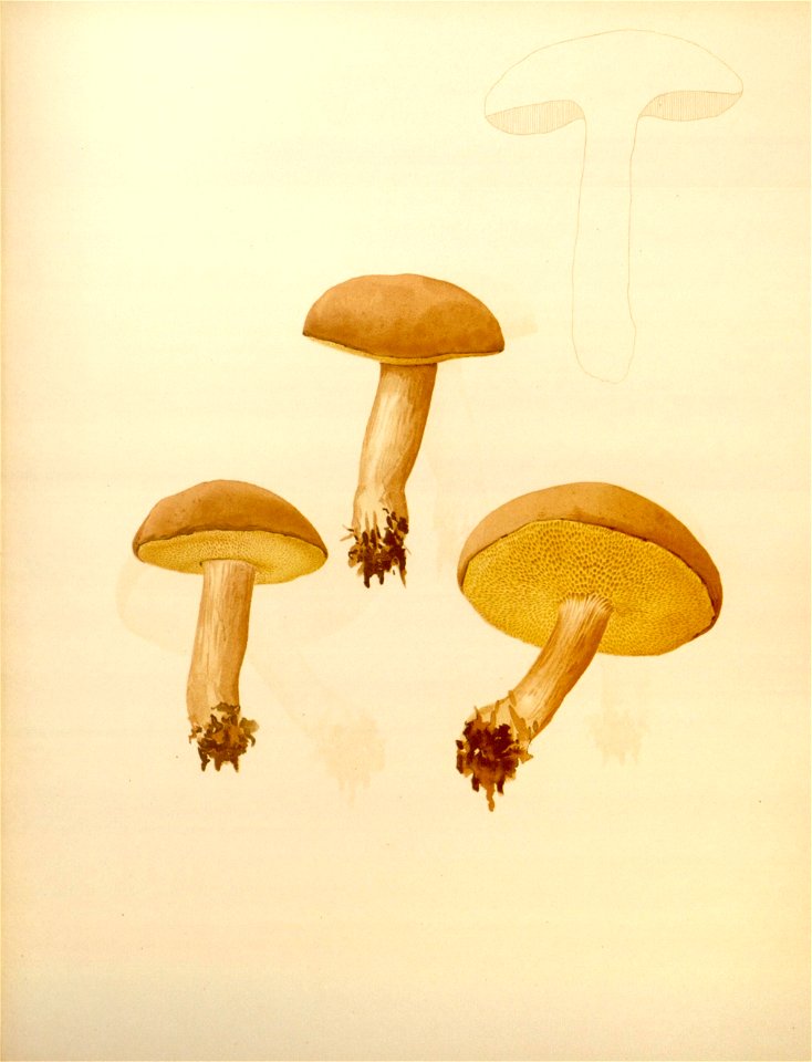 n174_w1150