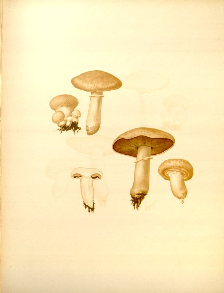 n143_w1150