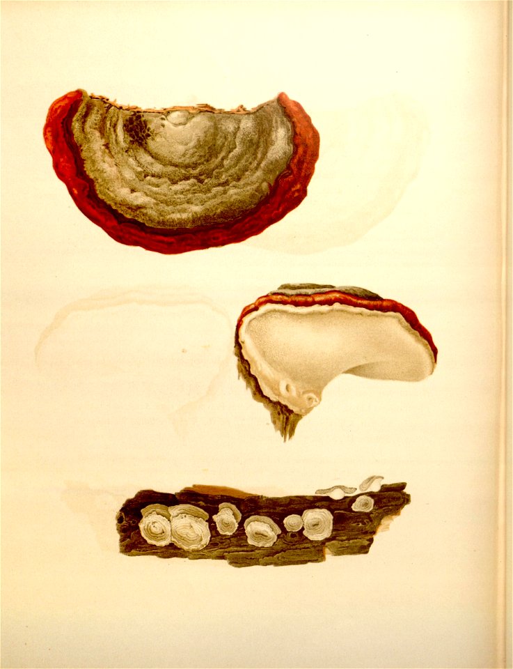n203_w1150