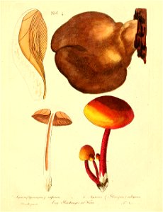 n226_w1150