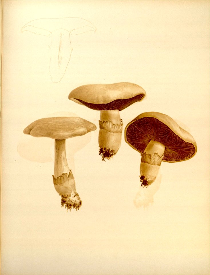 n139_w1150