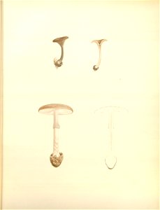 n15_w1150