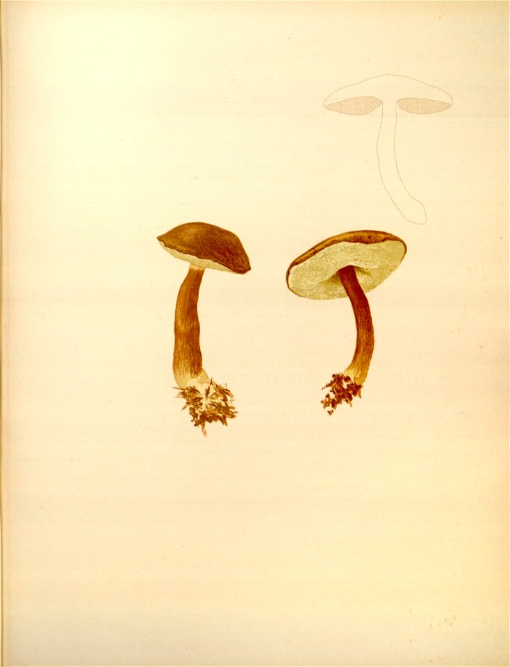 n167_w1150