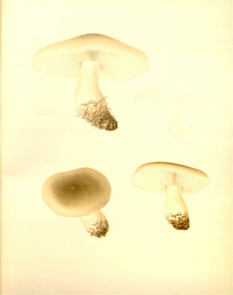 n43_w1150