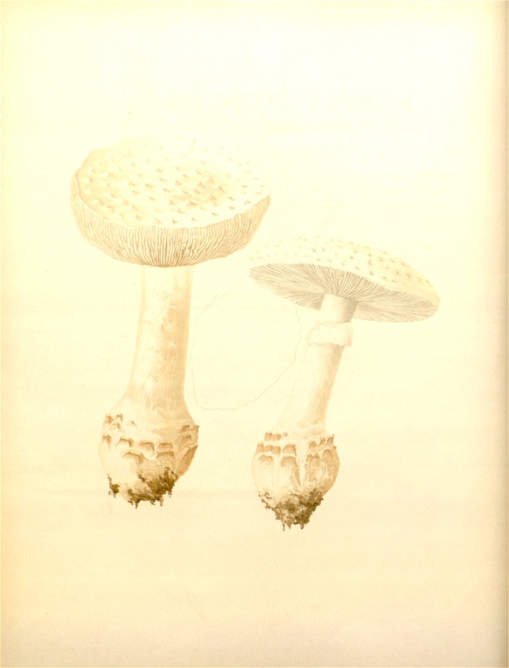 n12_w1150