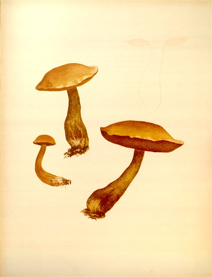 n163_w1150