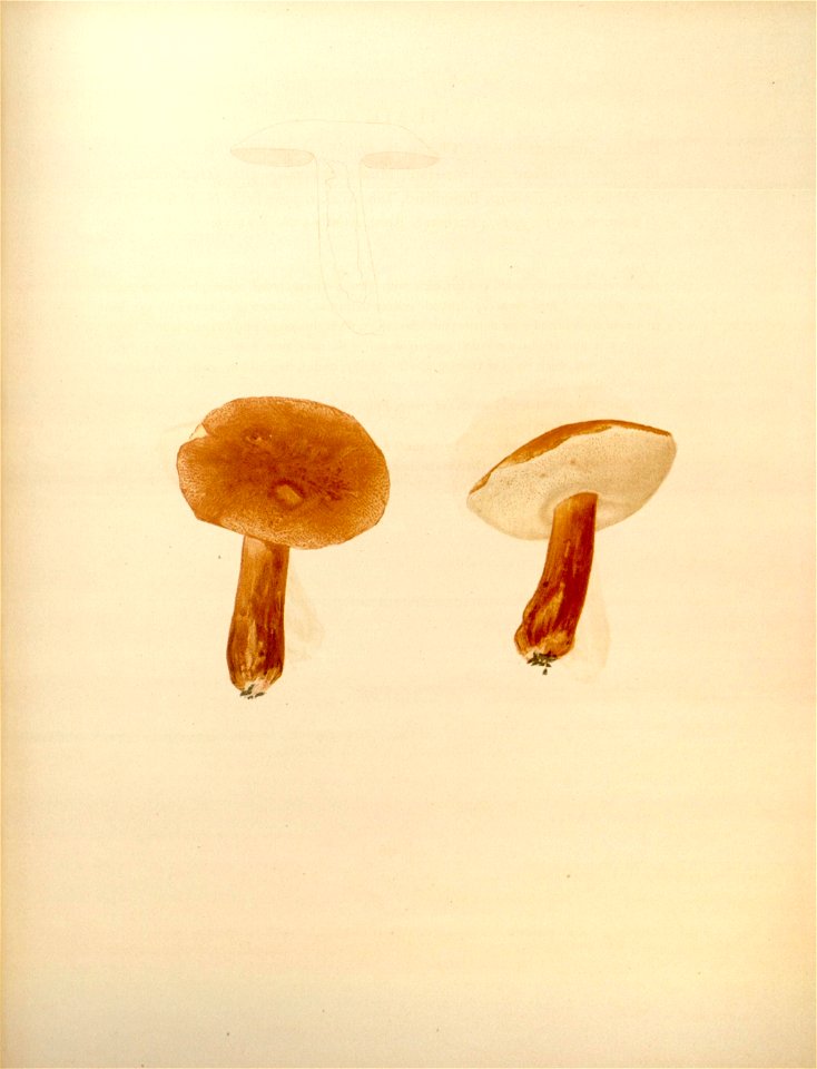 n194_w1150