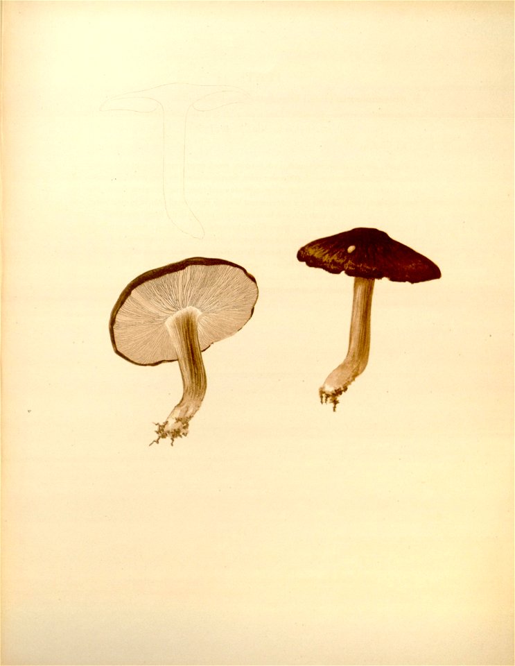 n101_w1150