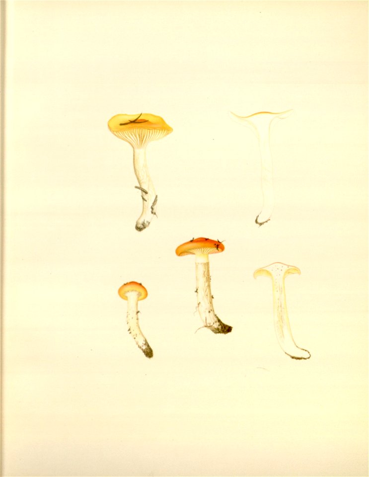 n69_w1150