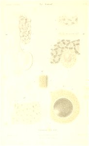 n403_w1150