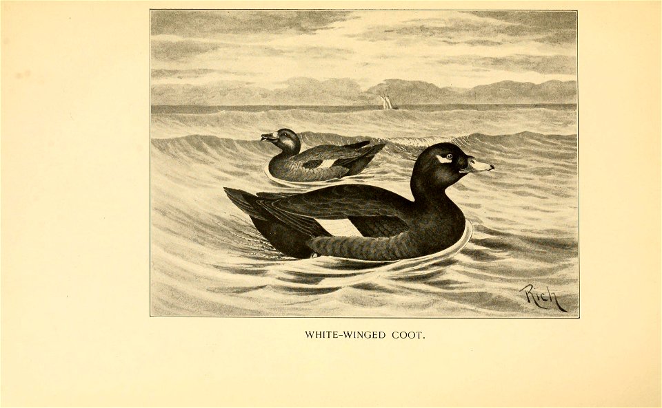 n580_w1150