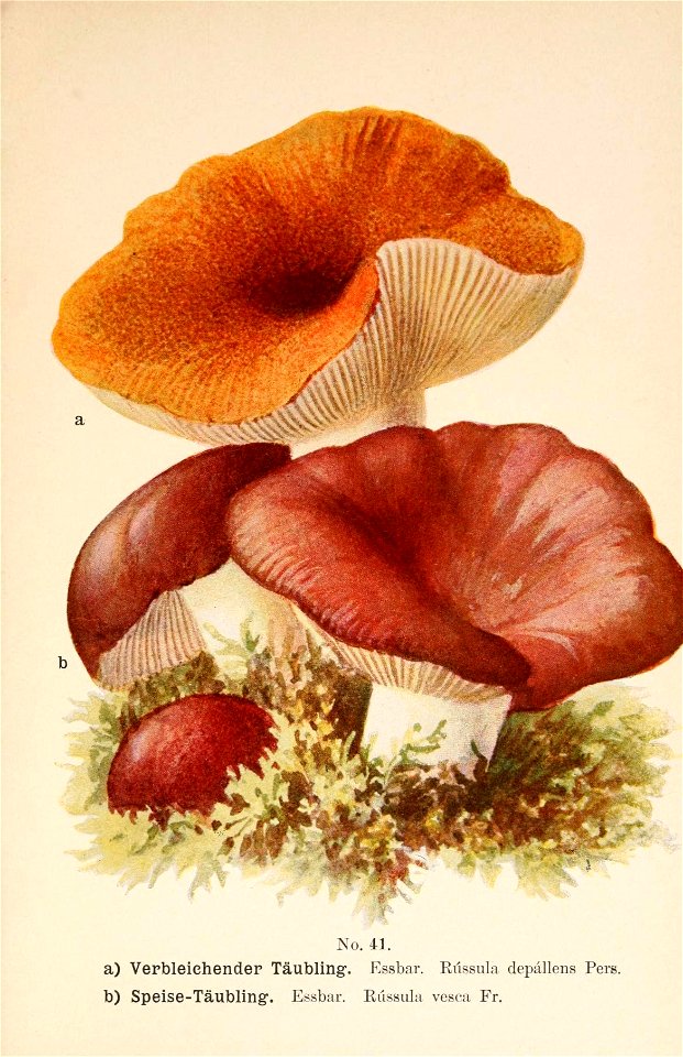 n118_w1150