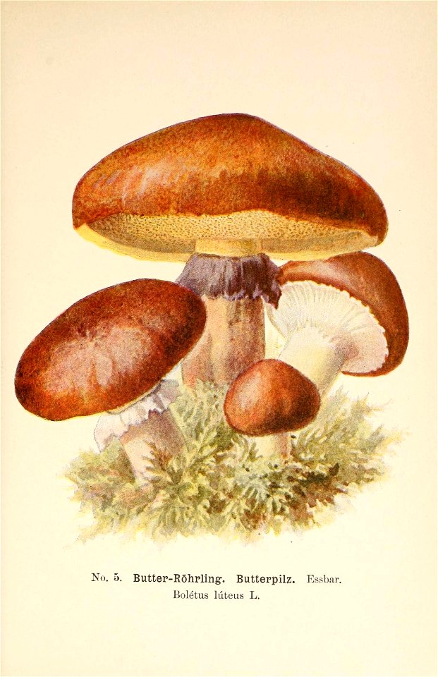n58_w1150