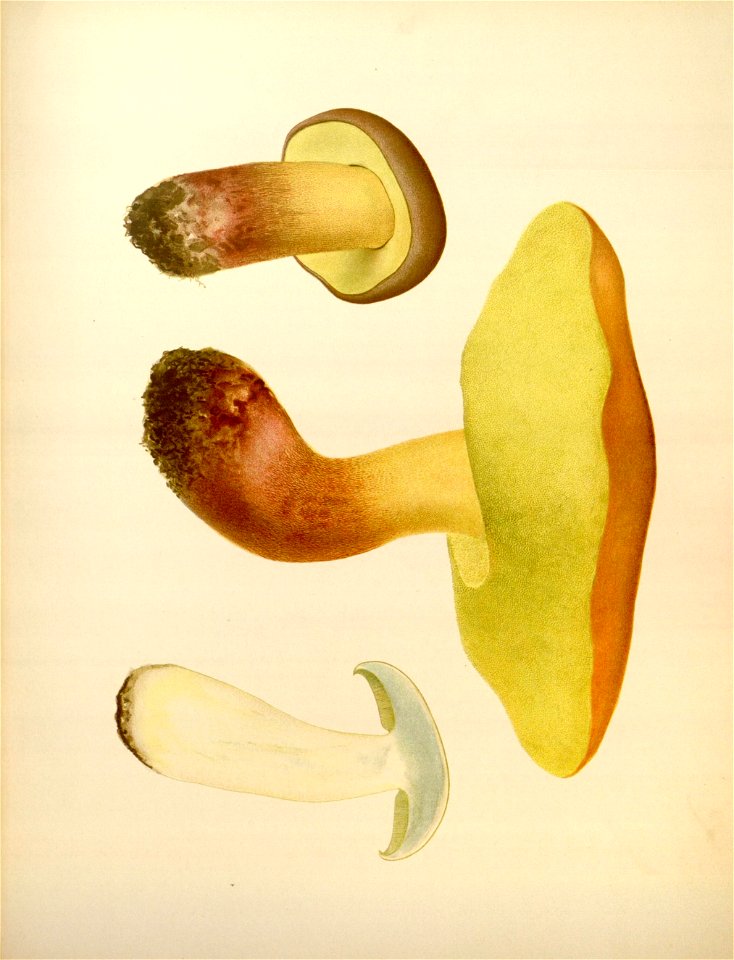 n178_w1150