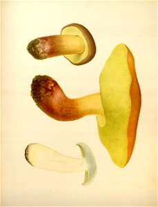n178_w1150
