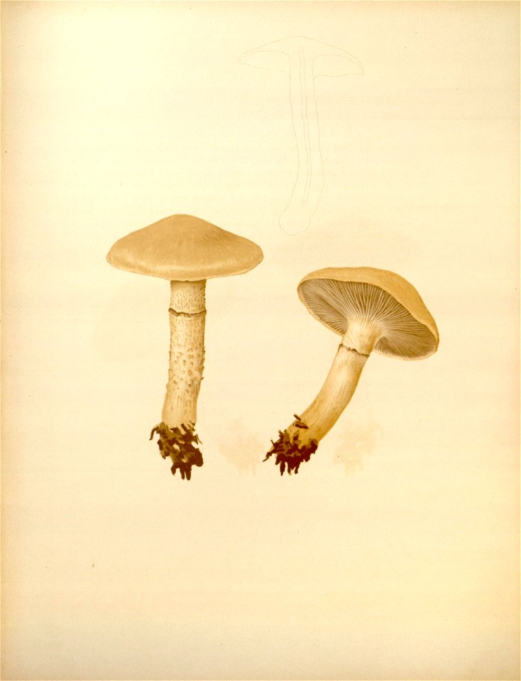 n147_w1150