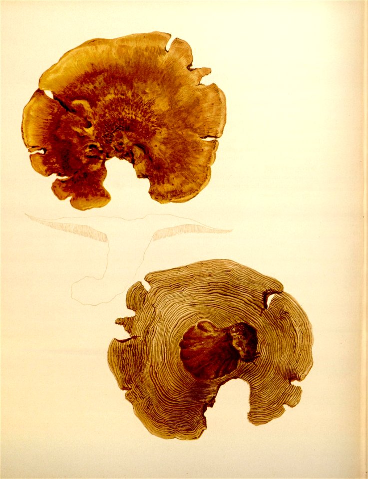 n206_w1150