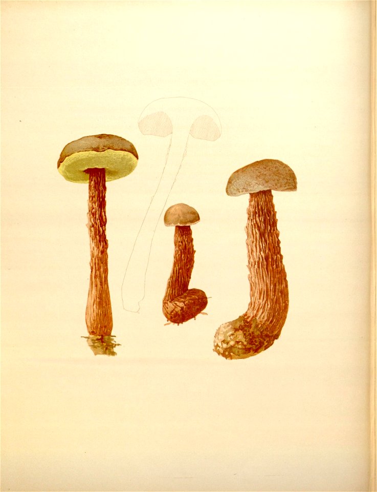 n175_w1150