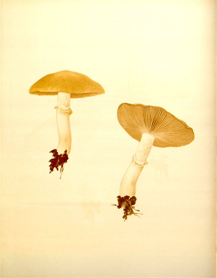 n110_w1150