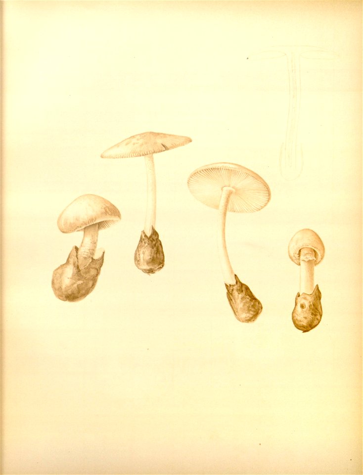 n19_w1150