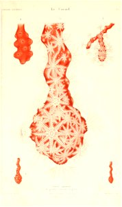 n376_w1150