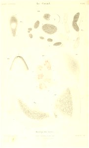 n421_w1150