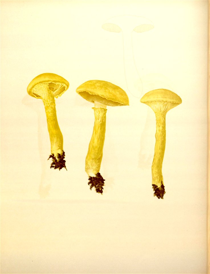 n171_w1150