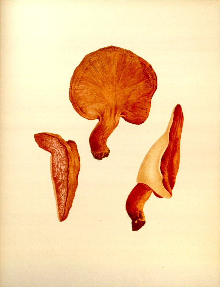 n202_w1150