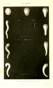n415_w1150