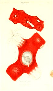 n412_w1150