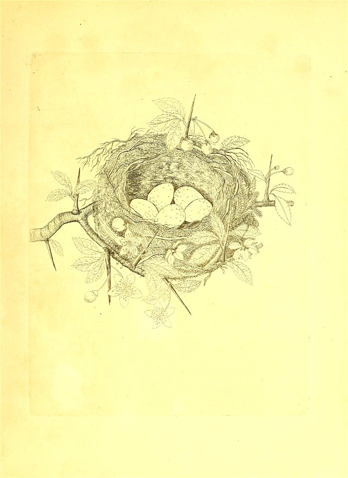 n128_w1150