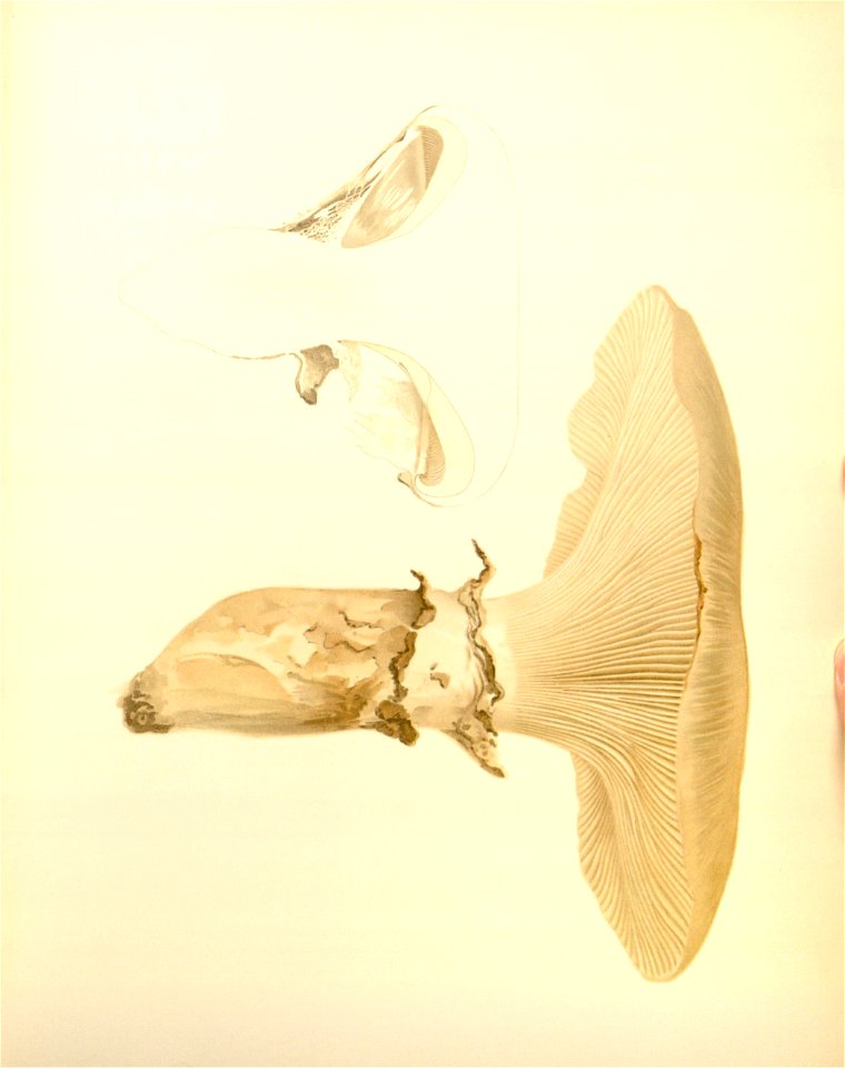 n39_w1150