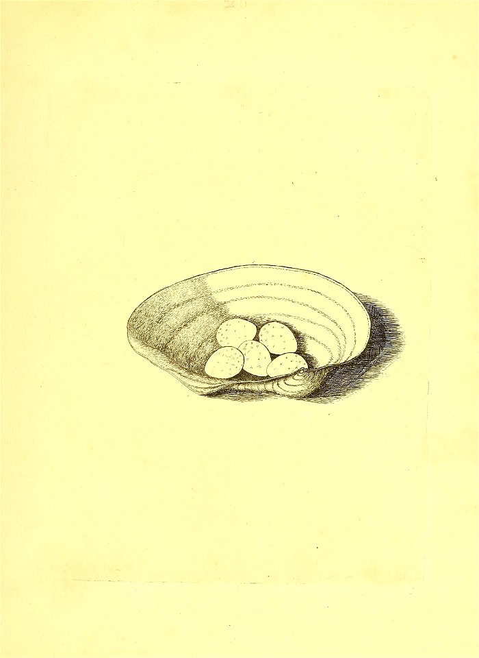 n120_w1150