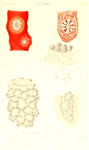 n382_w1150