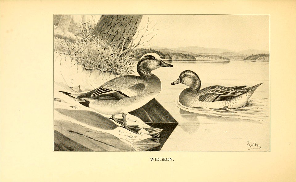 n430_w1150