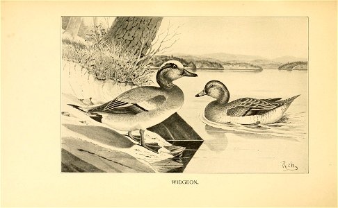 n430_w1150